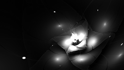 593567 (a): :1920x1080